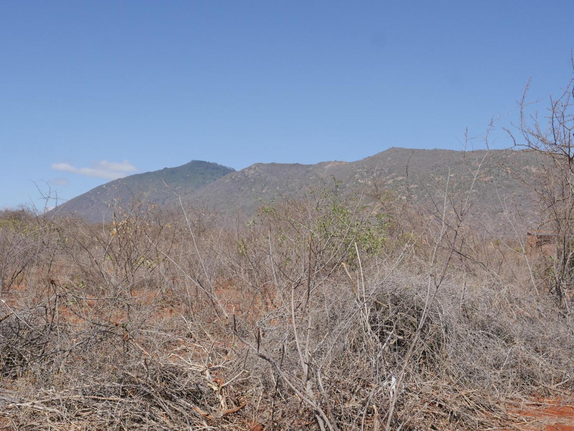 Tausa Tsavo Eco Lodge Voi Экстерьер фото