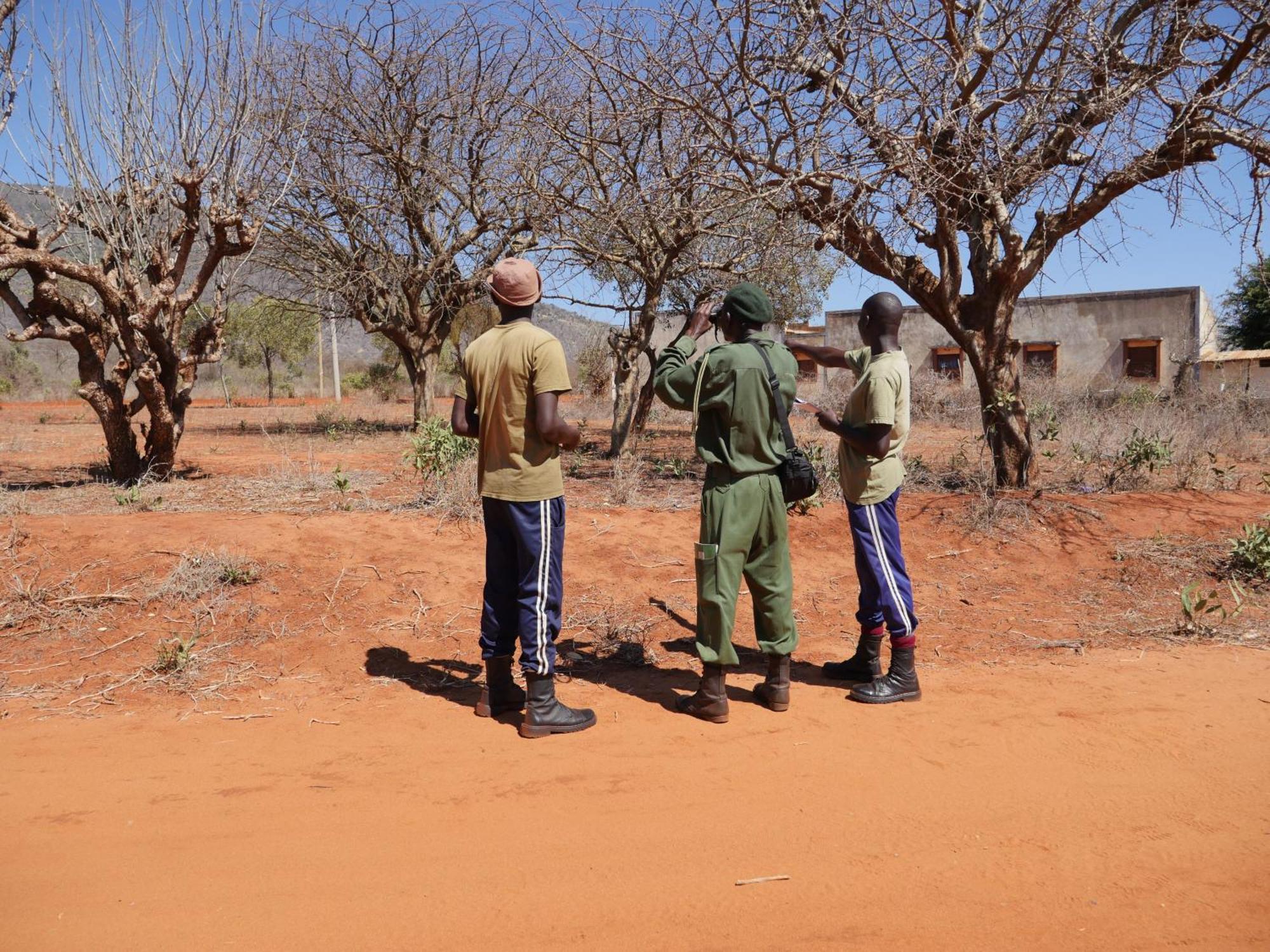 Tausa Tsavo Eco Lodge Voi Экстерьер фото