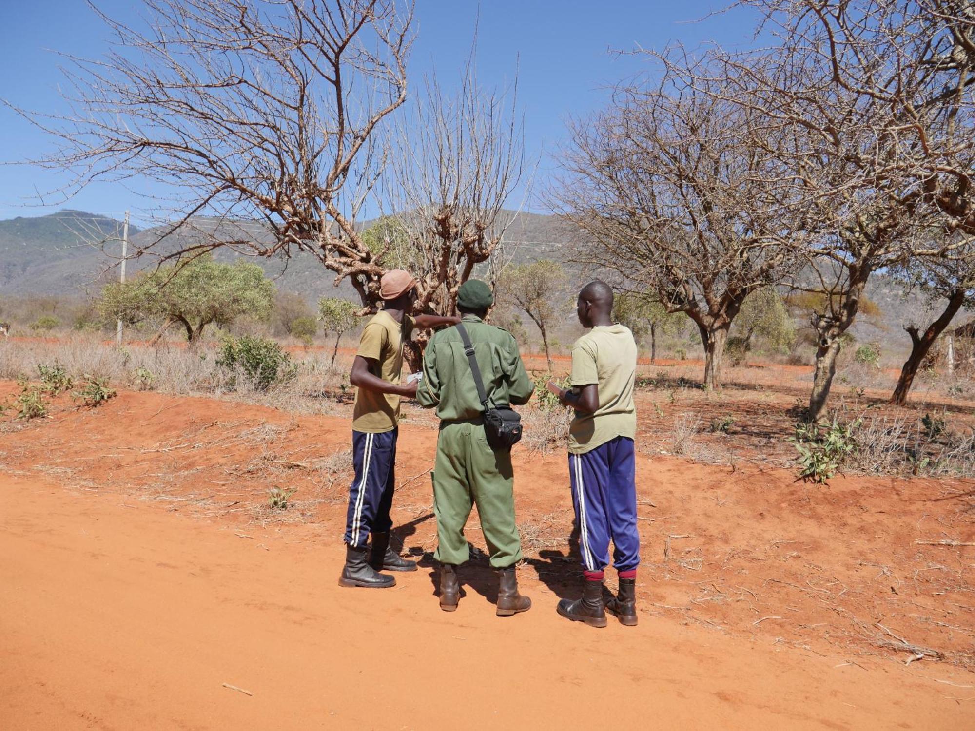 Tausa Tsavo Eco Lodge Voi Экстерьер фото