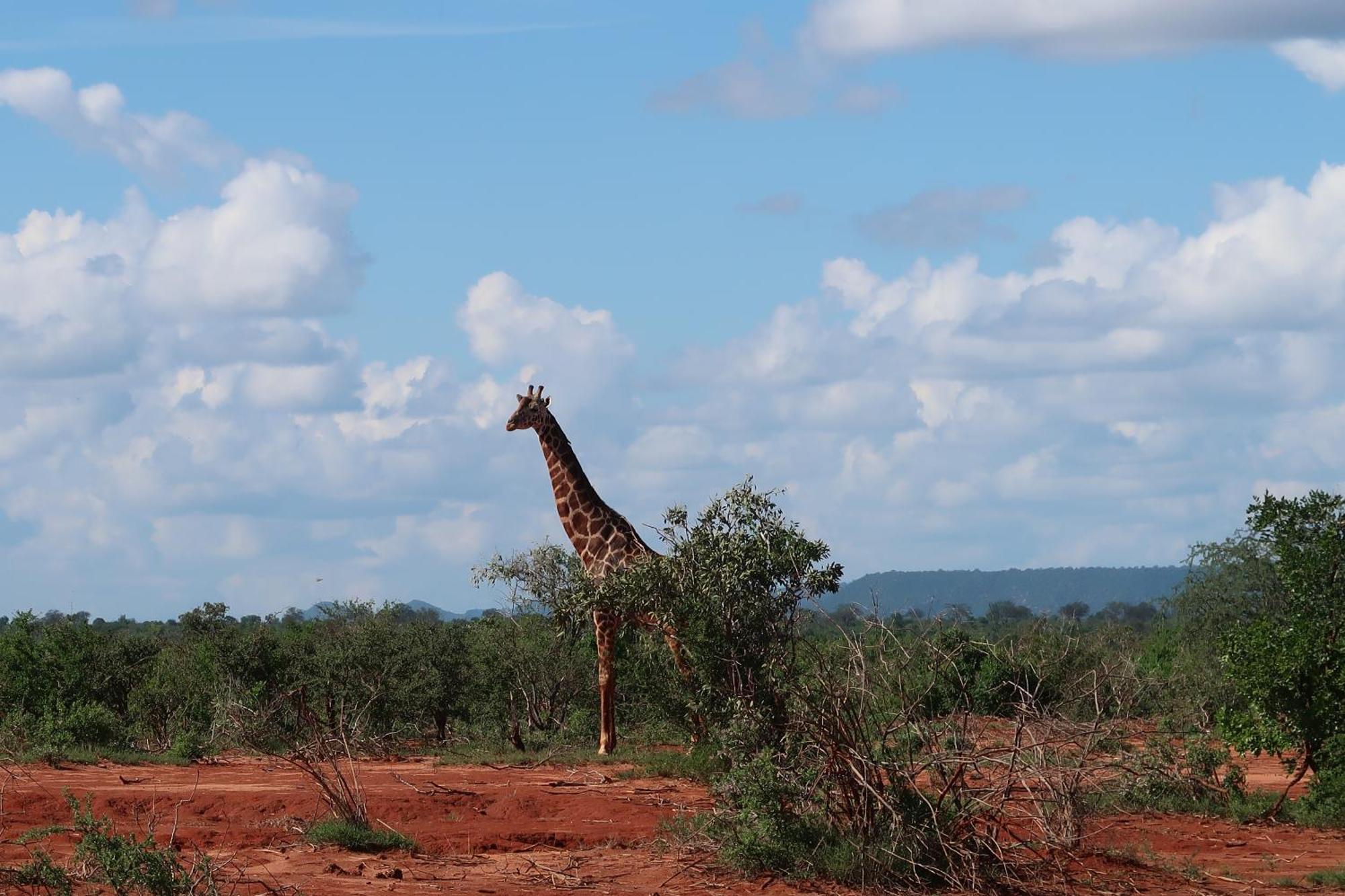 Tausa Tsavo Eco Lodge Voi Экстерьер фото