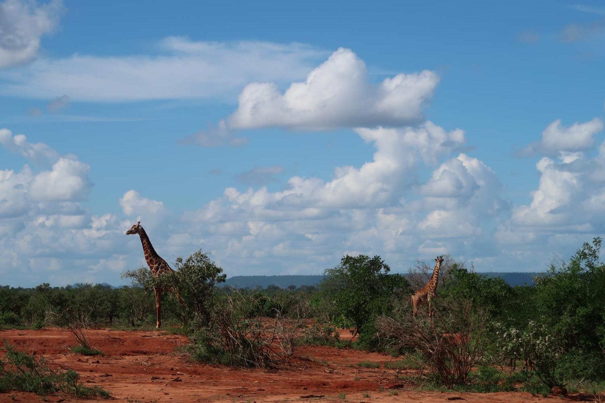 Tausa Tsavo Eco Lodge Voi Экстерьер фото