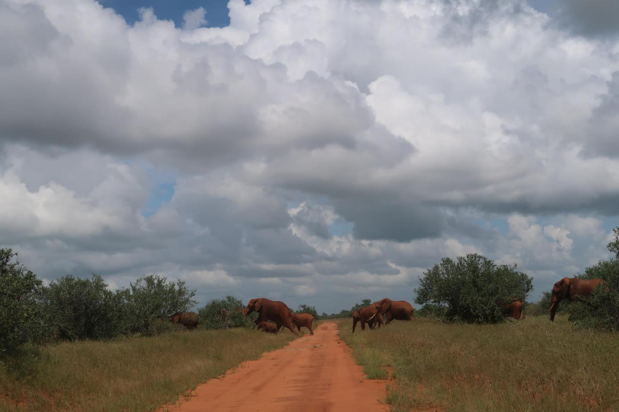 Tausa Tsavo Eco Lodge Voi Экстерьер фото